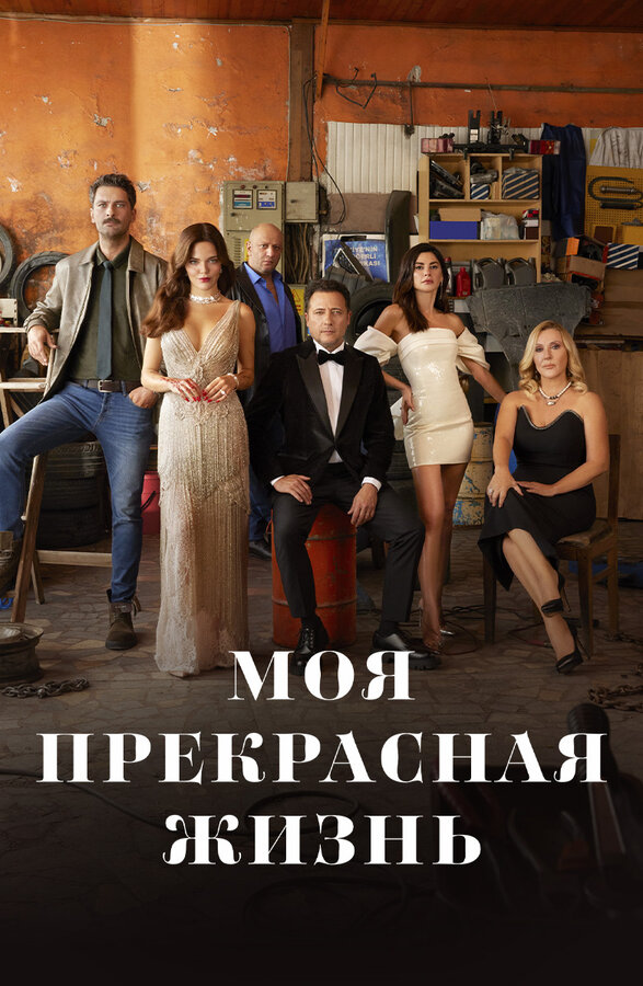 Моя прекрасная жизнь - постер
